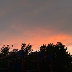 Meet your Posher, Bella